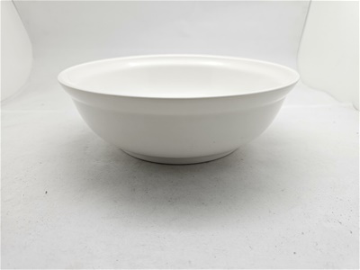 4994大同白瓷9吋碗(遮雨棚)